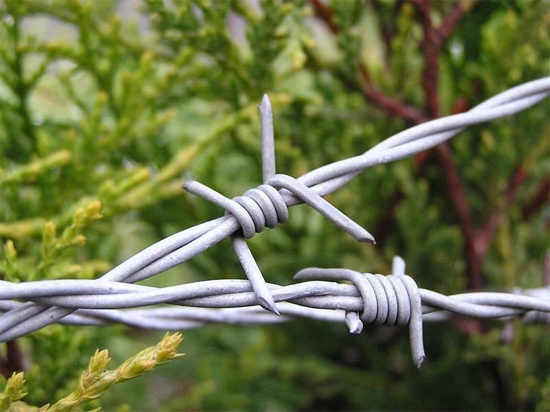 Barbed Wire