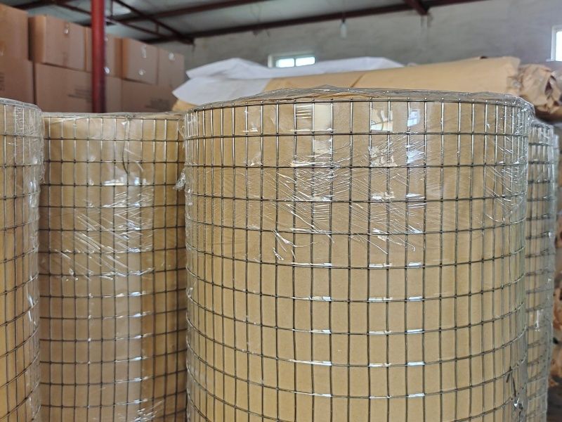 Welded Wire Mesh Roll